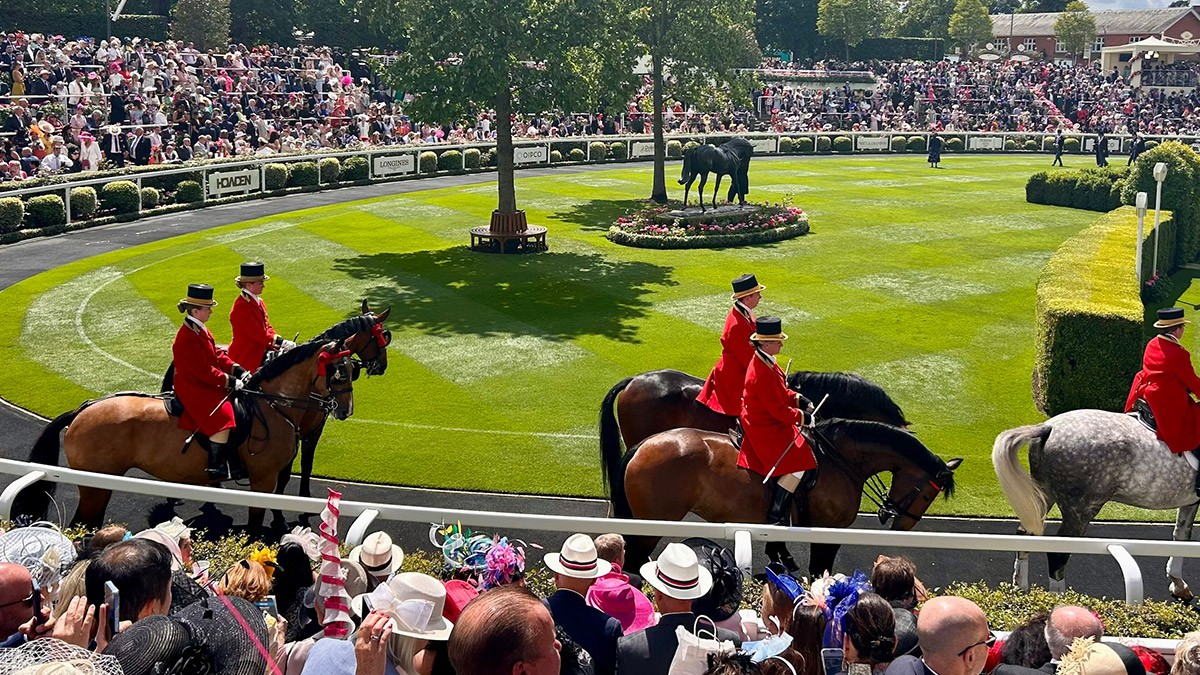 Sporun İzinde Seyahat | MINI Türkiye